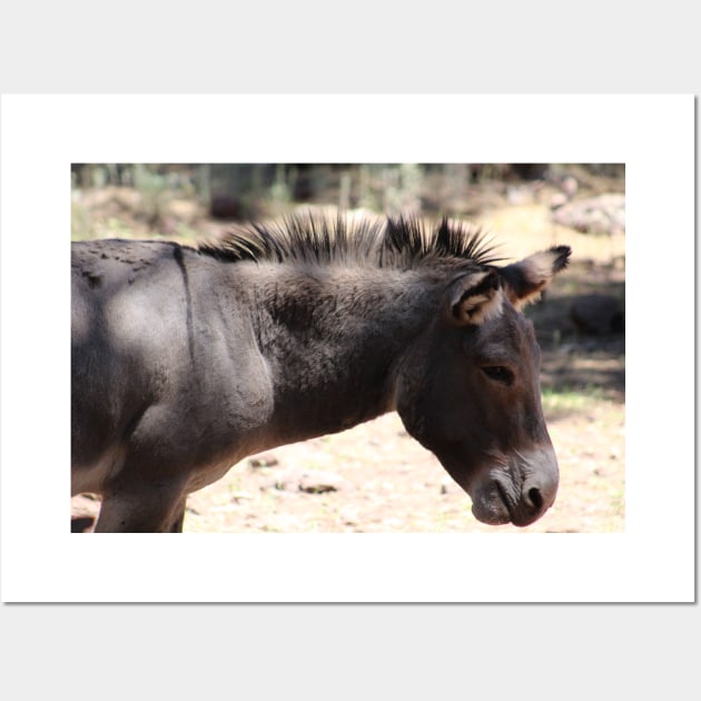 Closeup of Mule - Arizona Wall Art by ButterflyInTheAttic